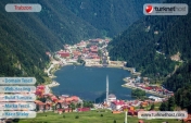 Trabzon Hosting