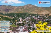 Bitlis Domain Tescil